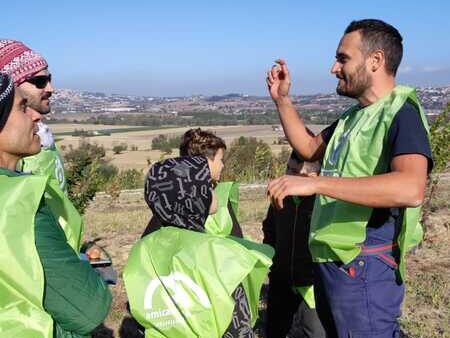 Le piantagioni di Amicambiente a Recanati