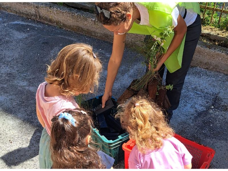 Nuova piantumazione a Giulianova presso asilo nido "Le Coccinelle"